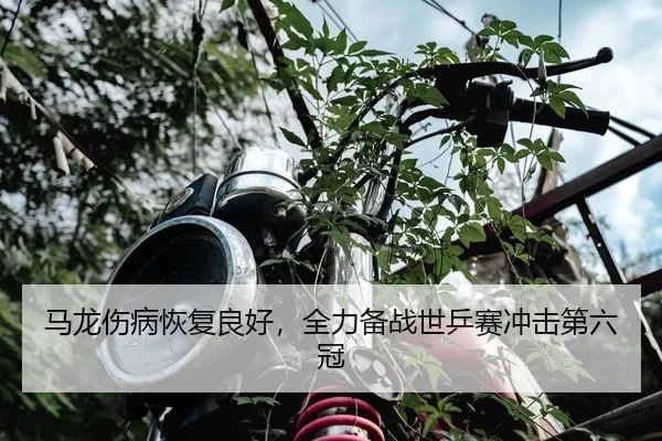 马龙伤病恢复良好，全力备战世乒赛冲击第六冠