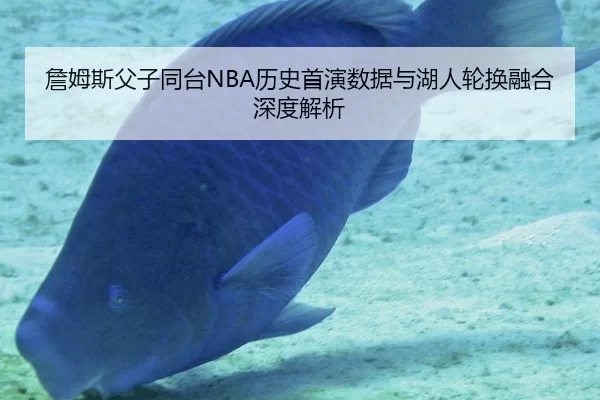 詹姆斯父子同台NBA历史首演数据与湖人轮换融合深度解析