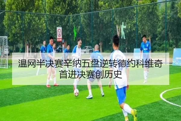 温网半决赛辛纳五盘逆转德约科维奇 首进决赛创历史