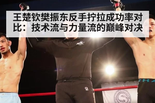 王楚钦樊振东反手拧拉成功率对比：技术流与力量流的巅峰对决